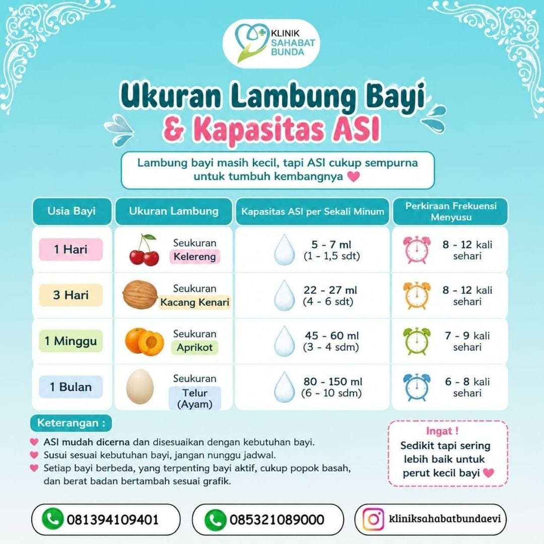 Kapasitas Asi Bagi Bayi